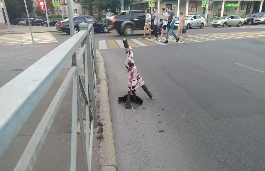 В Калининграде провалился асфальт на отремонтированной по федеральной программе улице (фото)