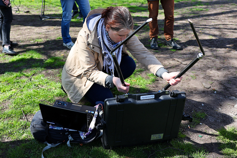 Правило «небуравчика»: власти Калининграда презентовали томограф для деревьев (фото)