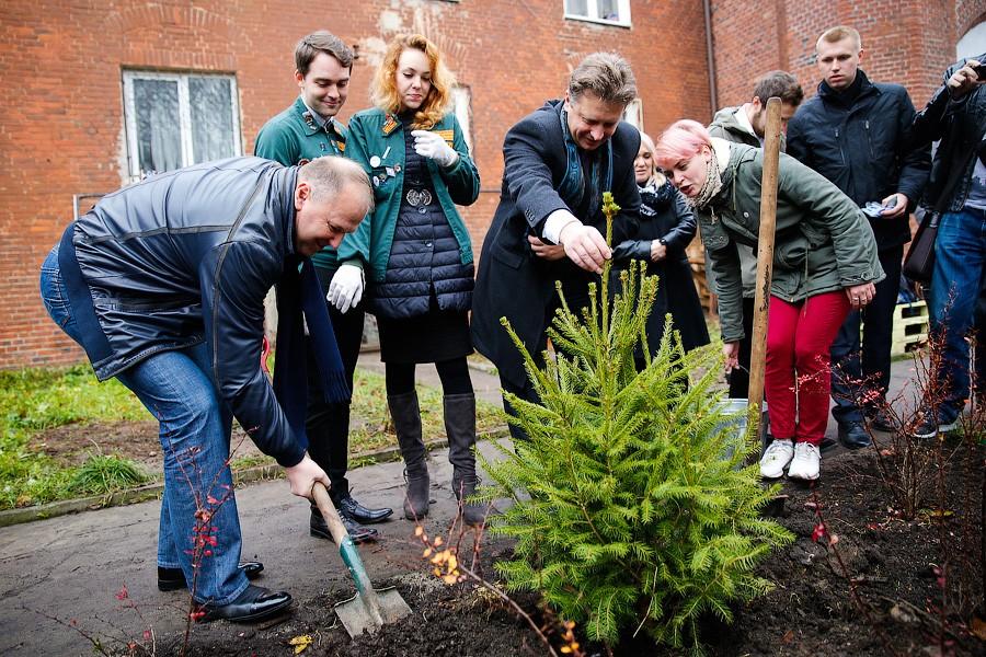 Посадить дерево и открыть трассу: как губернатор добрые дела делал