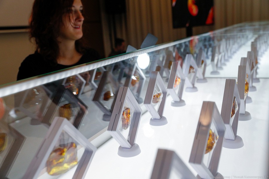 Янтарная козявка: чем закончились первые в Калининграде торги по инклюзам (фото)