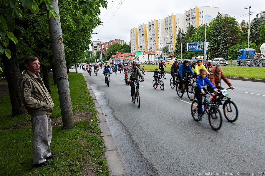 Лыжи, велики, унициклы: как прошёл велопарад в Калининграде (фото)