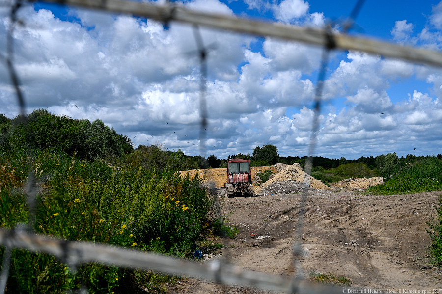 Природоохранная прокуратура подала в суд на владельца скотомогильника в Нагорном