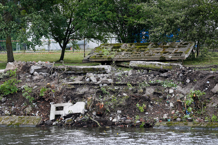 Для строительства набережной Карбышева разрешили вырубить 164 дерева (фото)