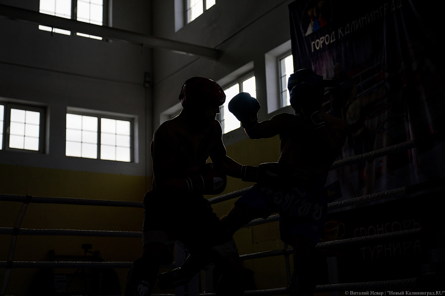 «Ударный» день: в Калининграде прошел чемпионат области по кикбоксингу