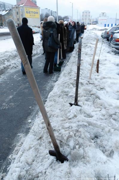 "В руки - лопаты-2": фоторепортаж "Нового Калининграда.Ru"