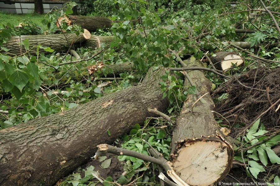 Последствия погрома на Ялтинской: фоторепортаж "Нового Калининграда.Ru"