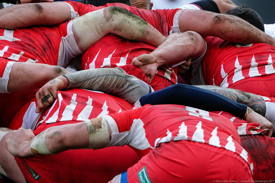 На стадионе «Калининград» снова сыграли в регби. Вот как Россия проиграла Грузии