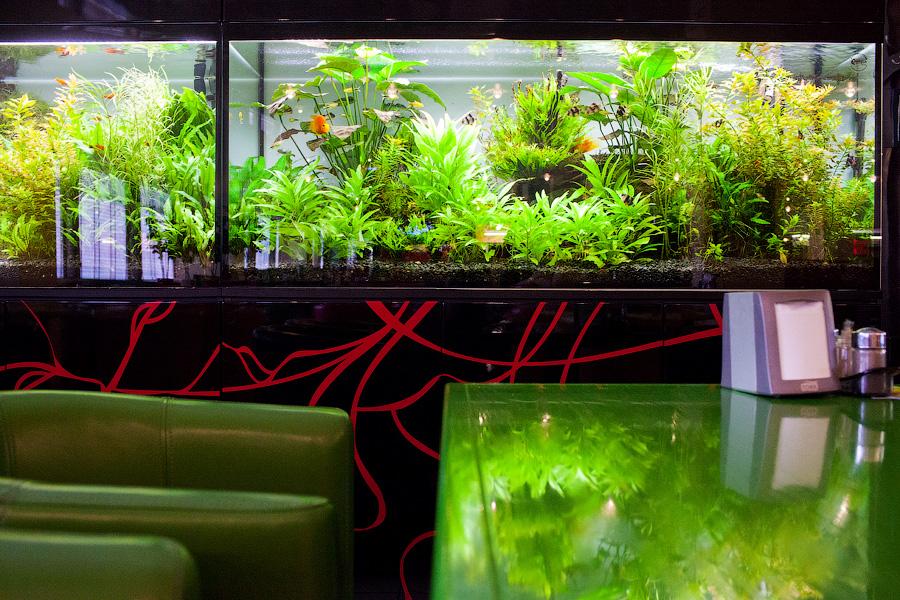 С литовским акцентом: обеды и ужины в кафе «ЮМС»