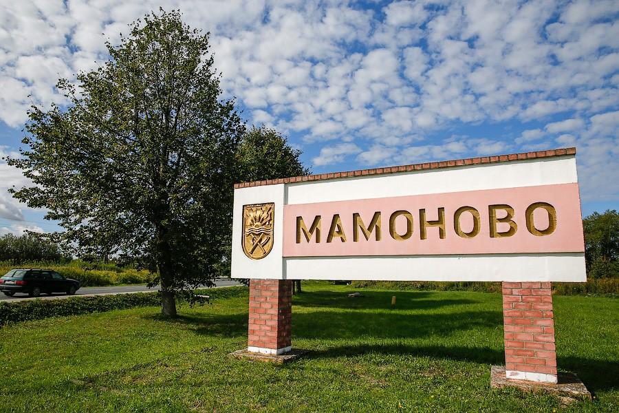 В Мамоново переназначили главу администрации