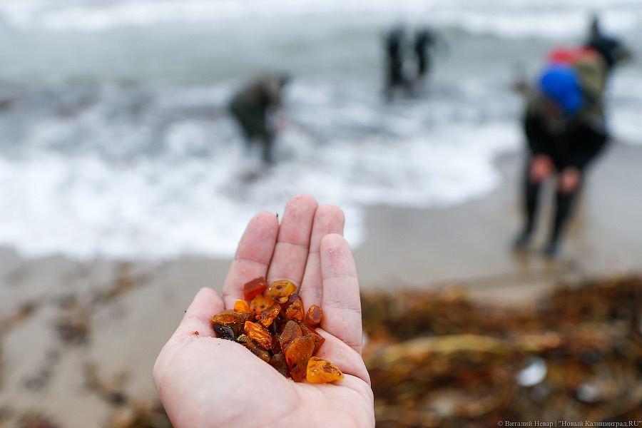 В Светлогорске осудили спортсмена-борца, вымогавшего деньги у ловцов янтаря