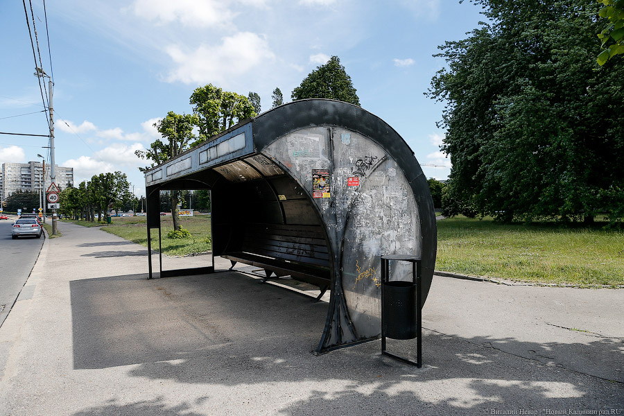 В России начал действовать штраф за высадку детей-безбилетников