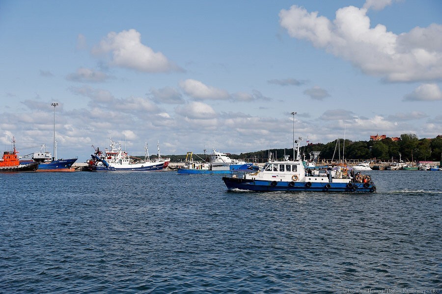 Алиханов о строительстве порта в Пионерском: «Какая-то задержка будет»