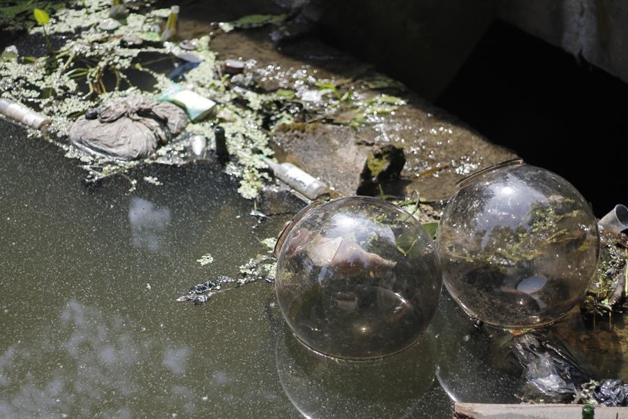 В реконструированном сквере на Юношеской вандалы повредили урны и плафоны (+фото)