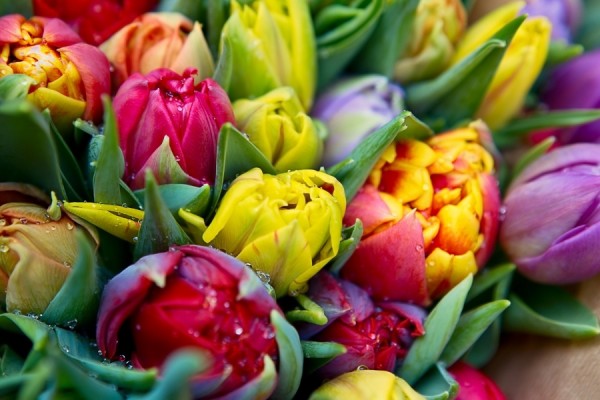 Дарите весенние букеты и композиции по легким ценам от «Магазина цветов»