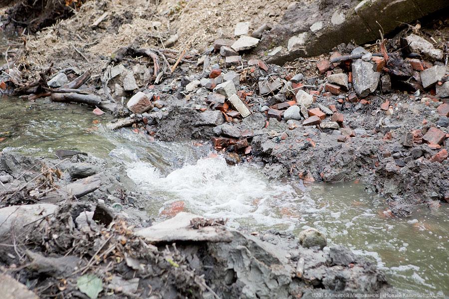 Около бывшей «Сказки» строители завалили глиной русло Паркового ручья (фото)
