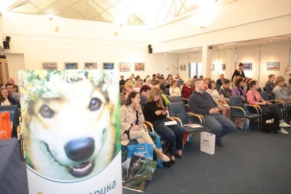 Зрение животным можно вернуть с одного укола