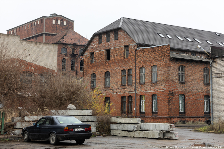 Постапокалиптический пейзаж: что происходит с территорией бывшего ЦБЗ-1 (фото)