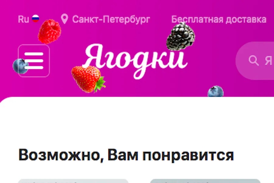 Опять Wildberries: сайт компании вернулся к прежнему названию