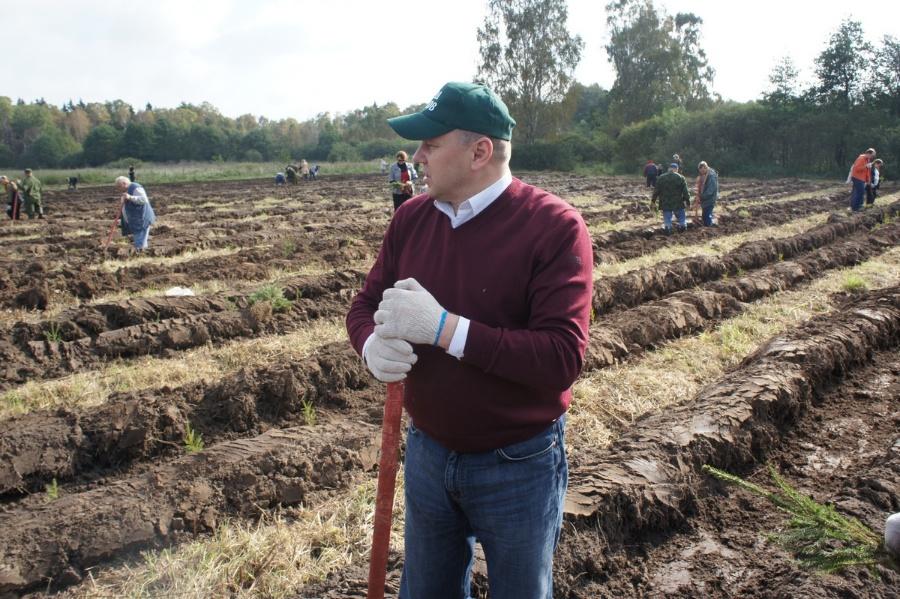 «Елки-палки»: фоторепортаж «Нового Калининграда.Ru»