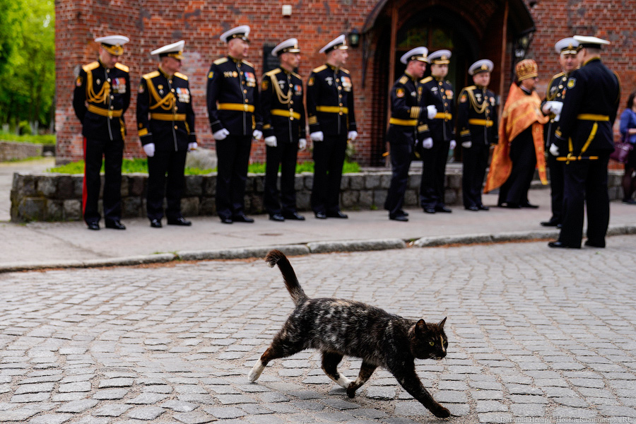 Пушки и «мини-Петр»: в Балтийске прошёл парад в честь Дня Балтфлота (фото)