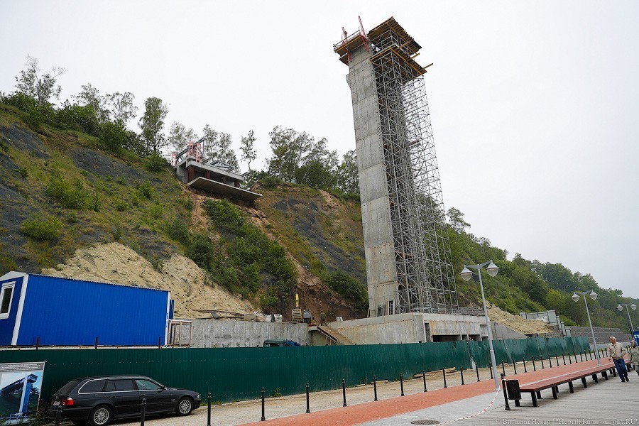 Много лиственницы и чуть песка: как выглядит светлогорский «пляж»  