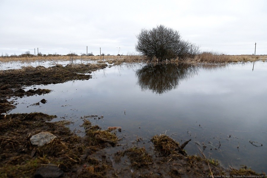 В расчете на федеральные 4 млрд рублей область создает свое предприятие по мелиорации
