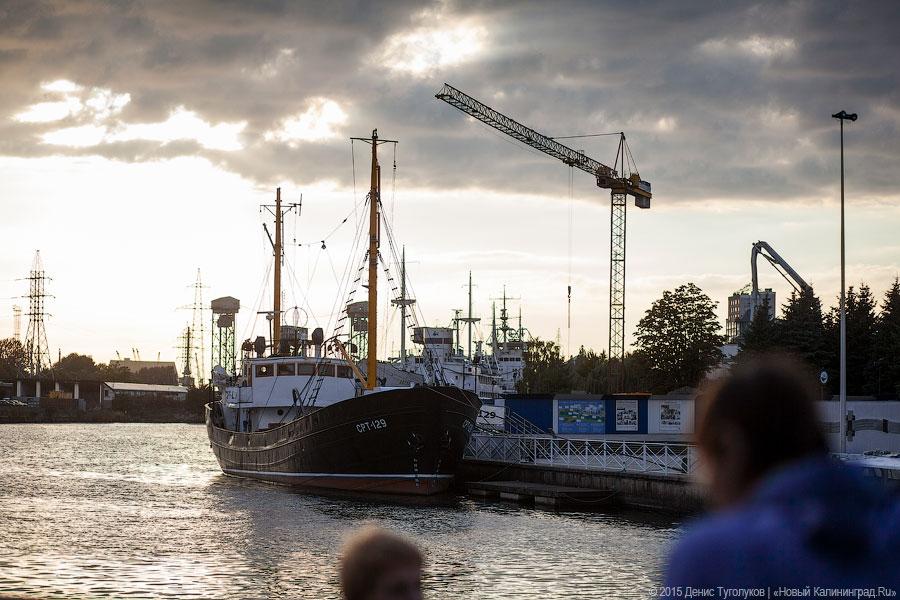 Кант был бы сыт: на острове стартовал «Street Food Weekend-2015»