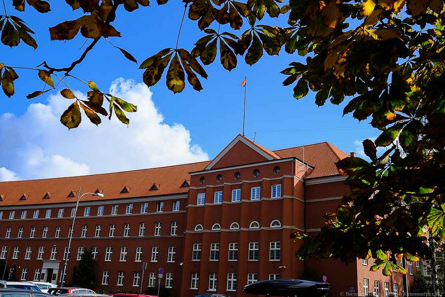 Кандидатуру Лесиковой рассматривают на утверждение в должности министра