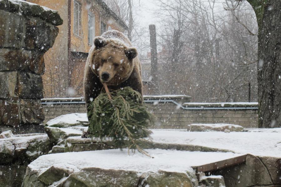 Фото предоставлено зоопарком