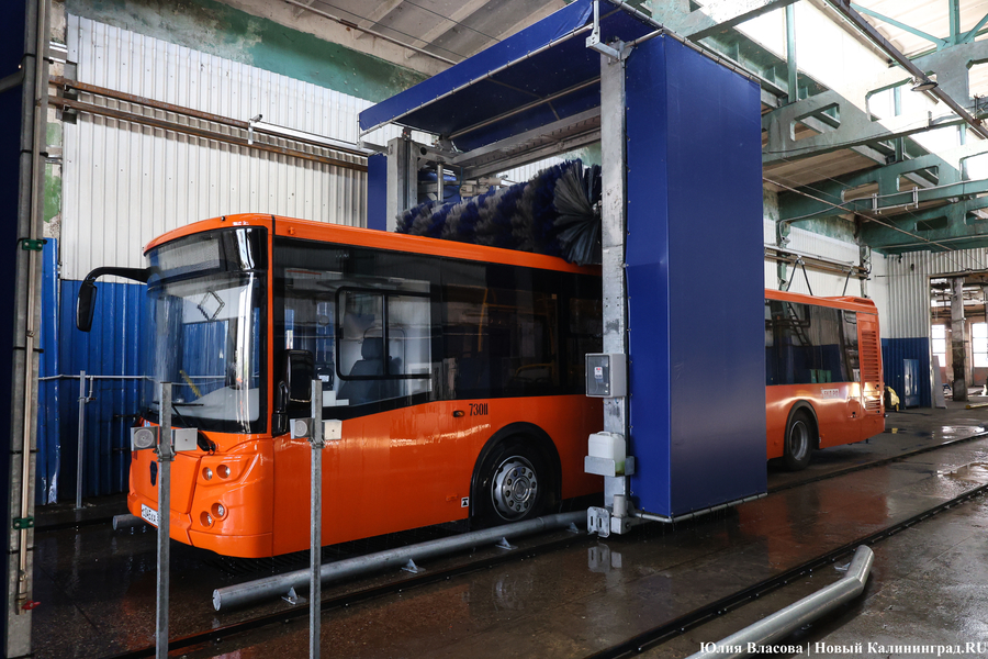 «Не надо искать особенностей»: в Калининграде на линию выпустили новые ЛиАЗы (фото)