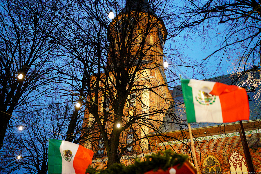 Девочки, записываемся на ободочки: в Калининграде открылась новогодняя ярмарка на острове Канта (фото)