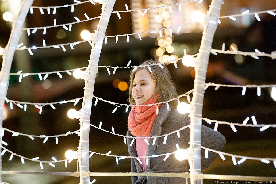 Открути оленю ушко: центр Калининграда украсили к Новому году (фото)