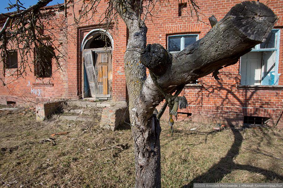 Кант — это судьба: что происходит с «домиком Канта» в Калининградской области