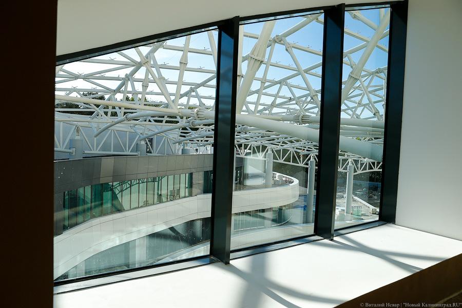 Фото — Виталий Невар, «Новый Калининград.Ru»