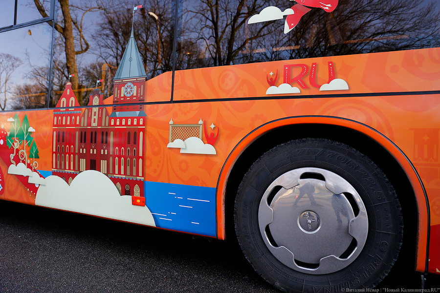 Верхом на трёхглазой змее: на калининградские автобусы нанесли символику ЧМ