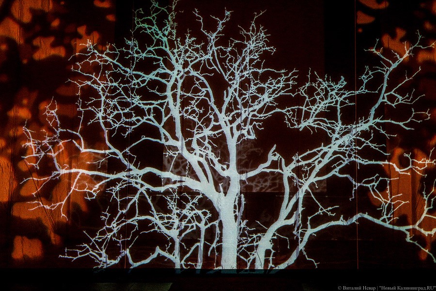 Премьера живых мертвецов: спектакль «Дракула» в Калининградском драмтеатре