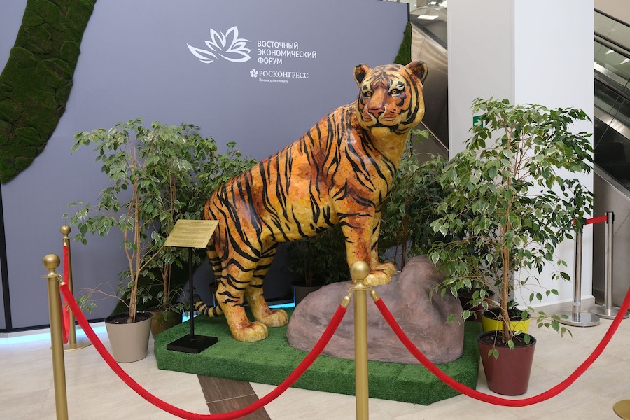 ЯК смастерил янтарного тигра в натуральную величину и отправил на ВЭФ-2022 (фото) (видео)