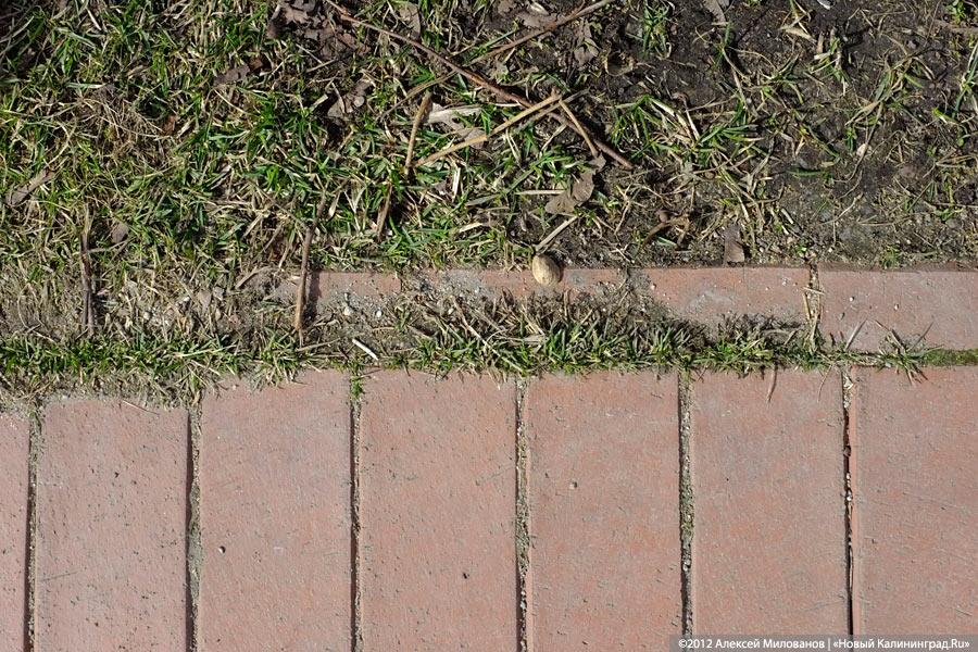 «Могила плитки»: набережная Верхнего озера после зимы