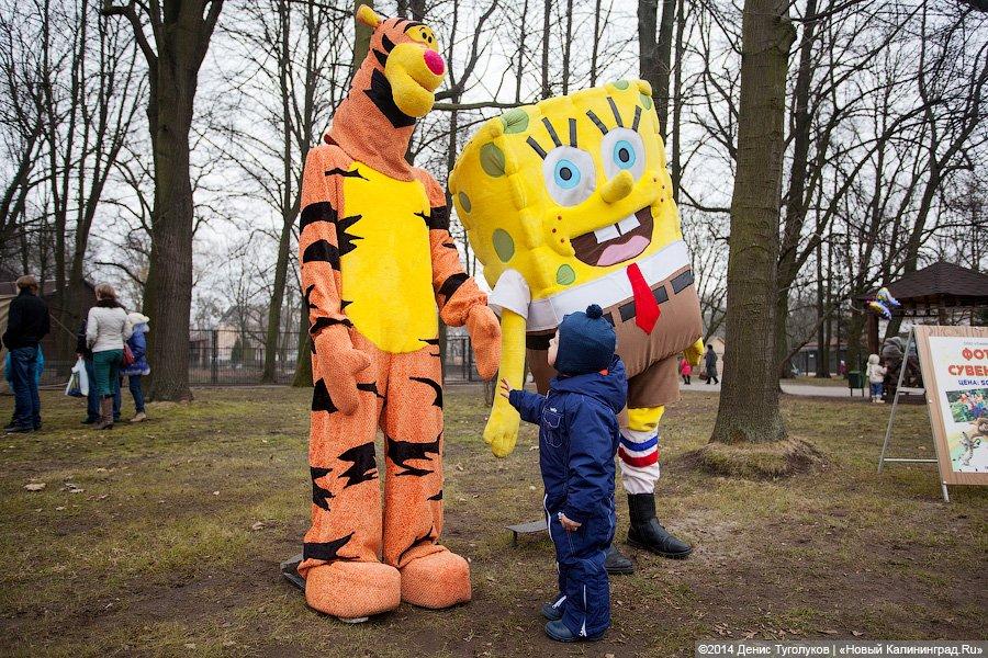 Ишь ты, Масленица!: как в зоопарке отмечали приход весны