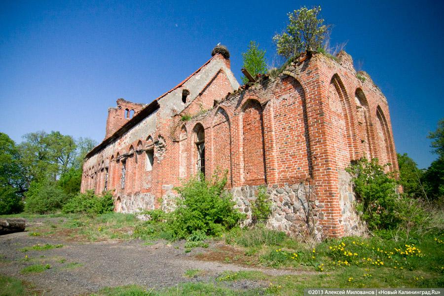 «Фрески и аисты»: вокруг кирхи в посёлке Кумачево идёт судебная тяжба