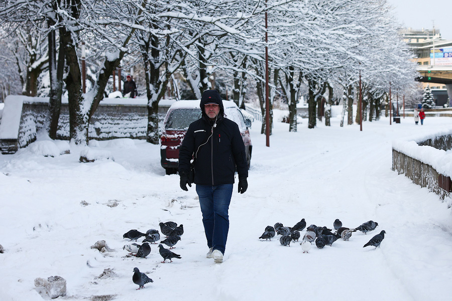 Хаос под белым покрывалом: как выглядит утонувший в снегу Калининград (фото)