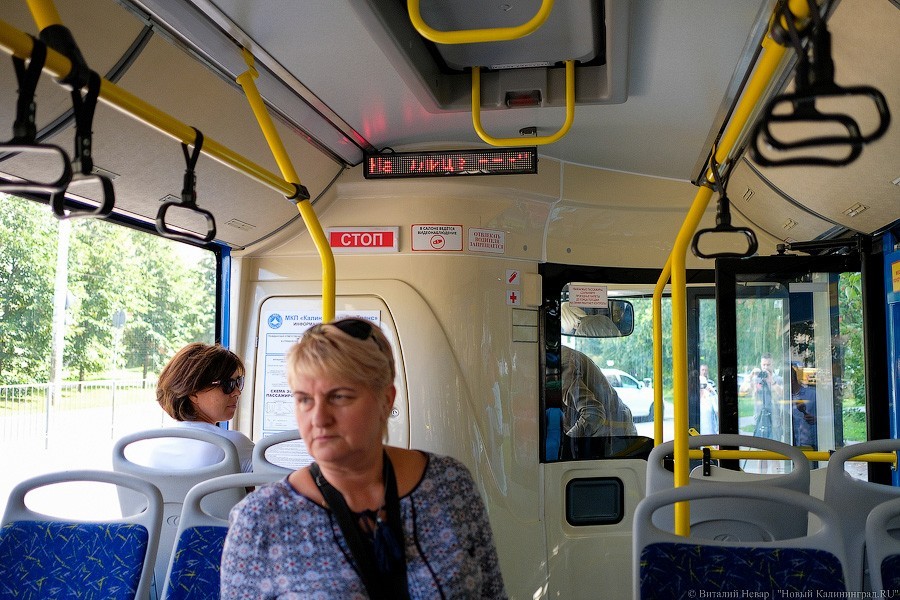 Автобус с розеткой: как в Калининграде испытывают новый вид транспорта