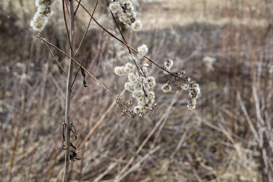 Барклай-де-Толли и Батурин: что происходит с памятником полководцу и усадьбой шурина экс-мэра Москвы