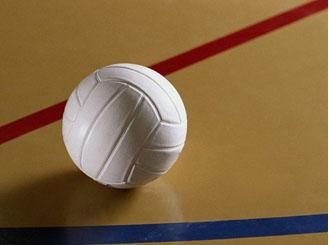 Команды крупнейших предприятий региона по волейболу встретятся 16 марта