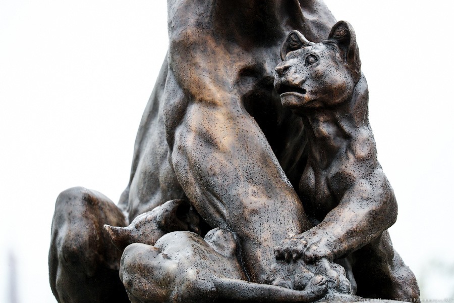 Звери из бронзы: на входе в Калининградский зоопарк установили новые скульптуры (фото)