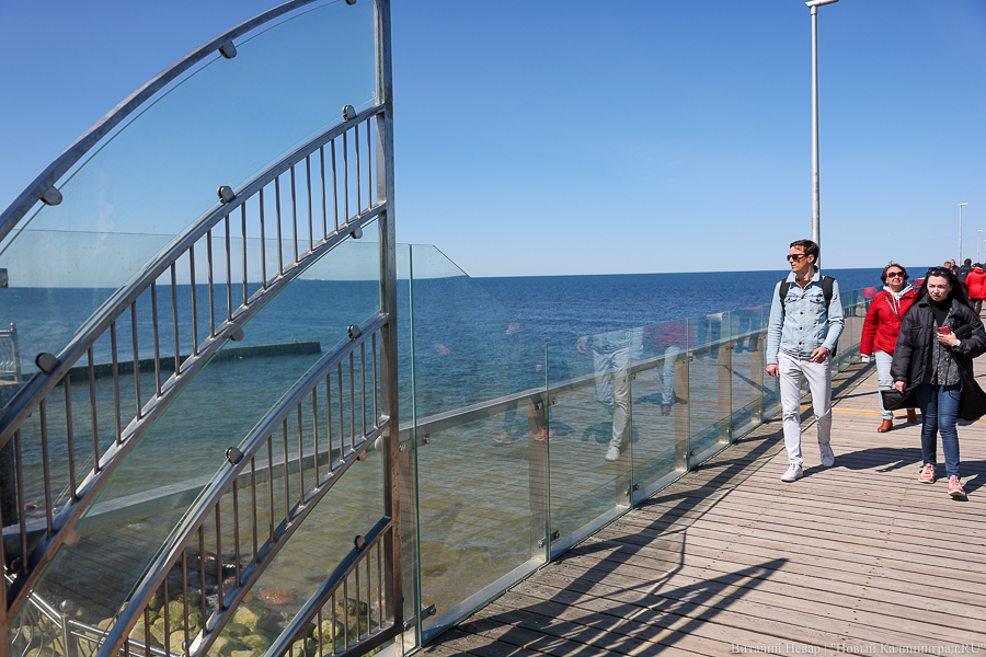 Фото: Виталий Невар / Новый Калининград