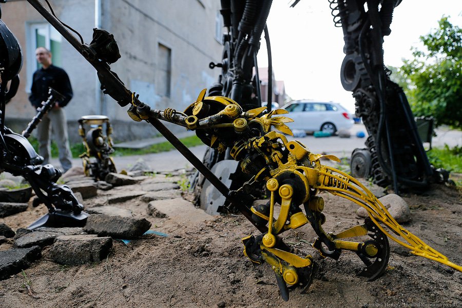 Смотришь на деталь и видишь хвост: житель Гвардейска создаёт трансформеров