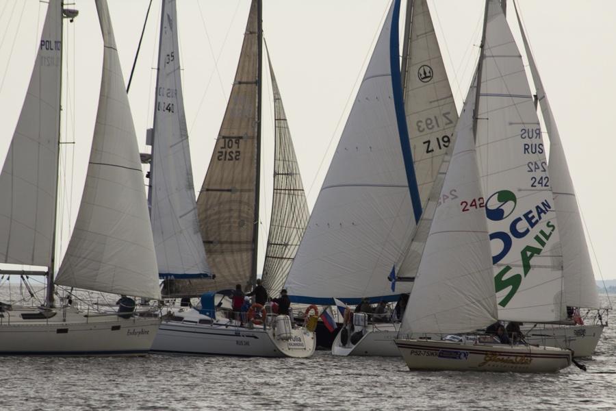 Ветер перемен: репортаж с первого регионального фестиваля парусного спорта