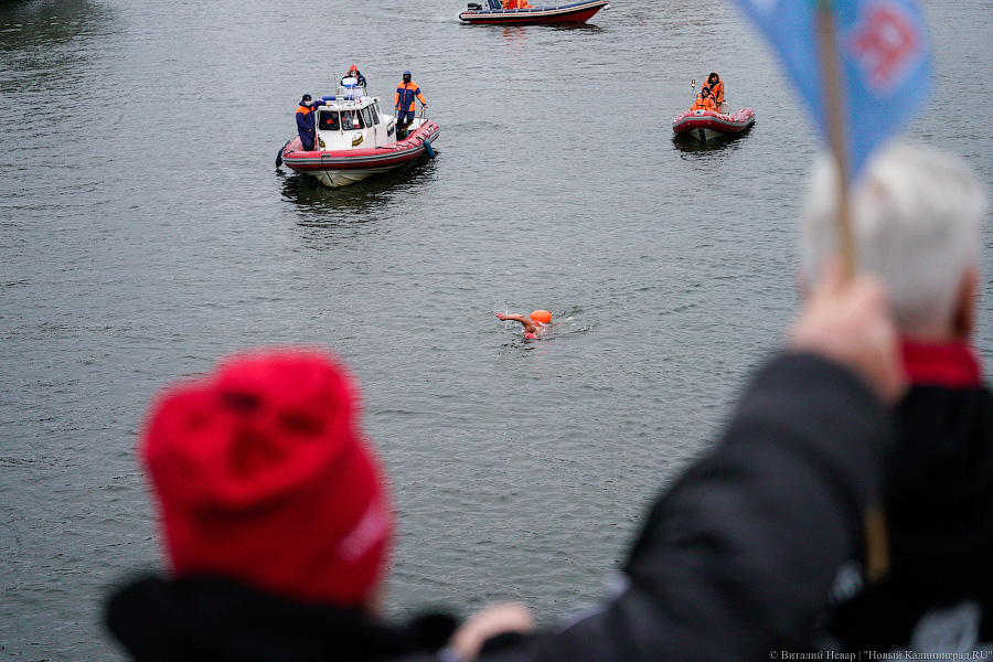 День моржа: как пловцы пытались защитить экосистему Преголи (фото)
