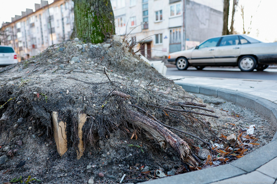 Коренные изменения: как выглядит сегодня благоустройство ул. П. Морозова (фото)